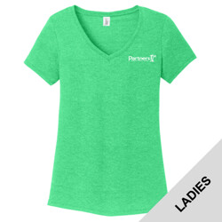 DM1350L - EMB - P308E001 - Ladies V-Neck T-Shirt